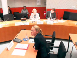 Sirkka Jendis sitzt an einem Tisch und spricht. Hinter ihr sieht man an einem halbrunden Tisch mehrere Abgeordnete sitzen.
