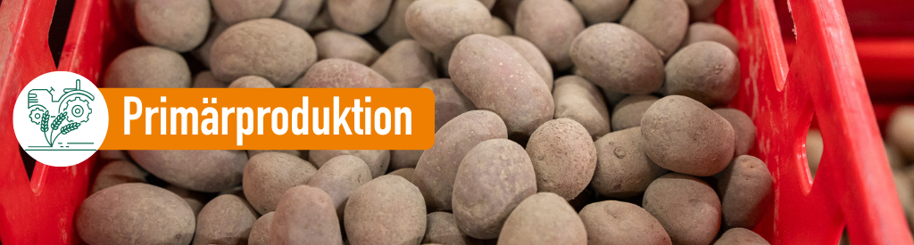 Primärproduktion