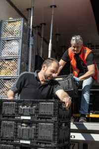 2 Tafel-Helfer laden Kisten mit Backwaren aus einem Transporter aus.