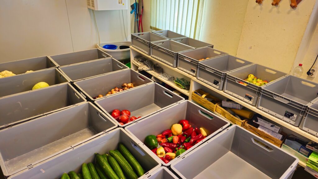 Auf zwei Tischen stehen grauen Kisten aneinandergereiht. In jeder Kiste liegt eine Sorte Obst oder Gemüse sortiert, z.B. Äpfel, Paprika und Gurken.
