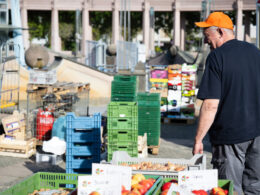 Lebensmittel retten im Urlaub: Tafel-Aktive sammeln Lebensmittel auf einem markt ein.