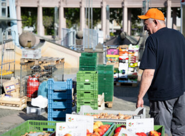 Lebensmittel retten im Urlaub: Tafel-Aktive sammeln Lebensmittel auf einem markt ein.